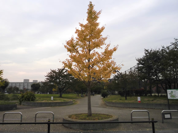 宇喜田公園